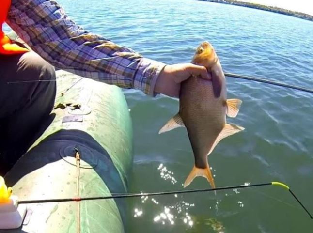 Ловля леща на бортовую удочку