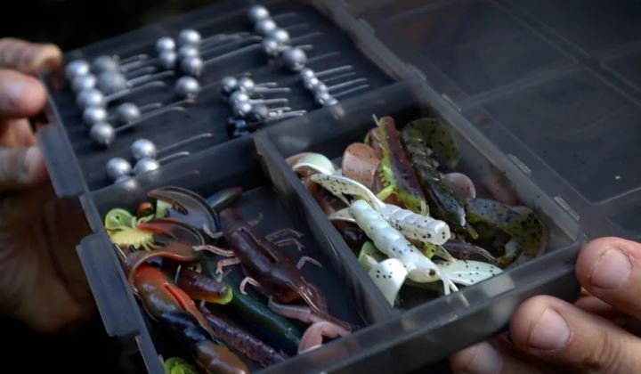 Ловля окуня с использованием наживок