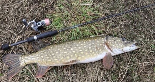 Весенняя ловля щуки