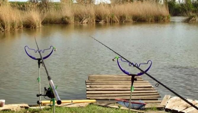 Ловля карпа на фидер