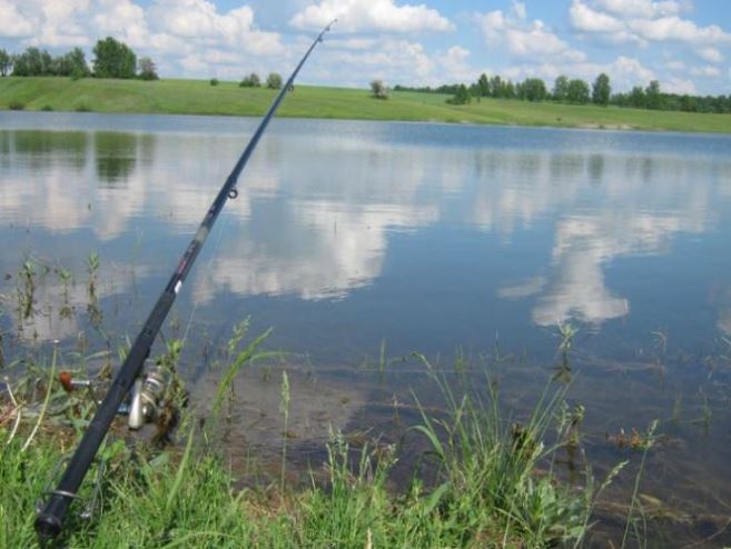 Ловля карпа весной
