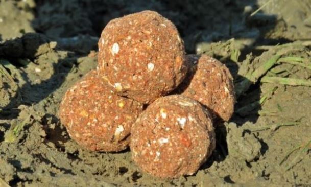 Рецепты для ловли карпа